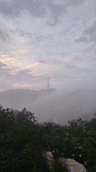 太武山2796743