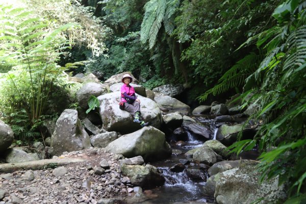 2022-08-31擎天崗→擎天崗溪→後湖底山→後湖底溪古道→內雙溪古道→坪頂古圳取水源頭→坪頂古圳步道→溪和宮