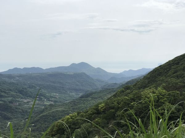 頂山石梯嶺上擎天崗119758