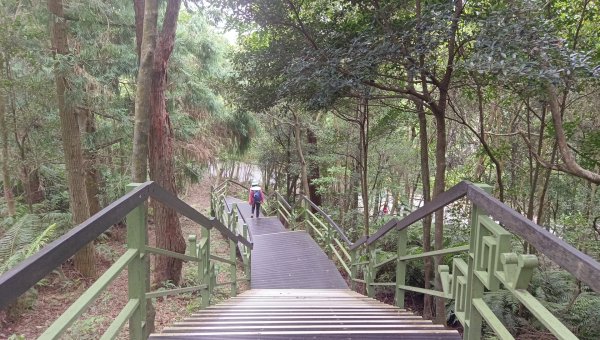 (姨婆趴趴走)第五十五集:攀登健走台北大崙頭尾山親山步道環狀一圈2853756
