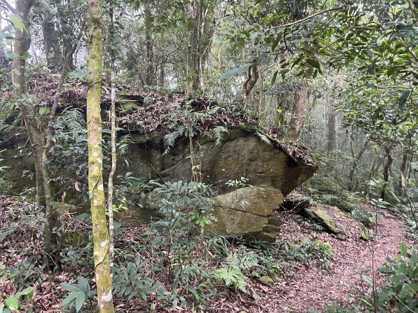 [屏步青雲 尋寶任務-02/10] 2024_0916 尾寮山登山步道2597401