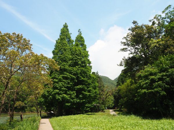 《宜蘭》植物博物館｜員山福山植物園201805182889163