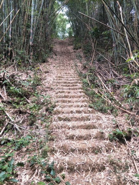 林安森林公園步道(大寮山步道)1464944