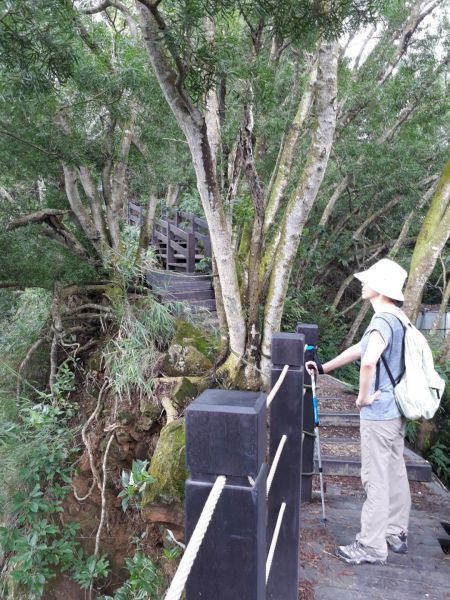 台中新田登山步道20180823396404