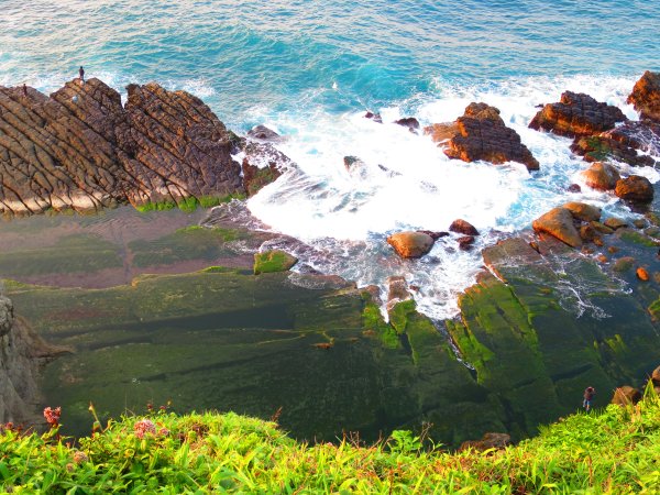 看海最美的神秘步道：到基隆大坪海岸尋找海豹岩2443397
