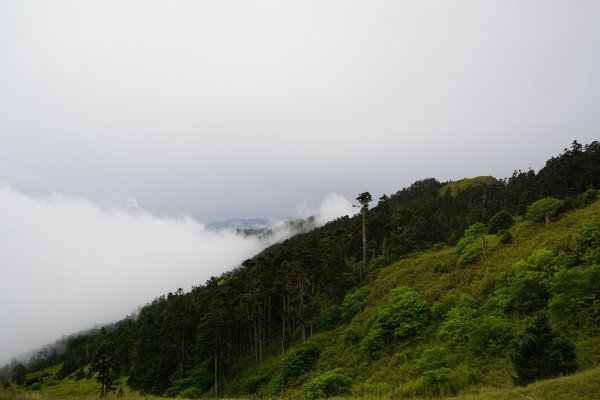 2018-08-03雪山主北431158