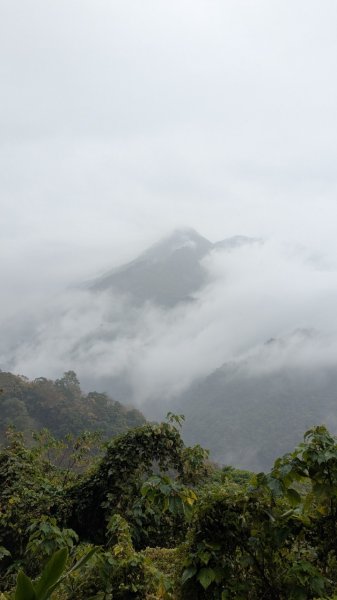 橫龍山、橫龍古道2682946