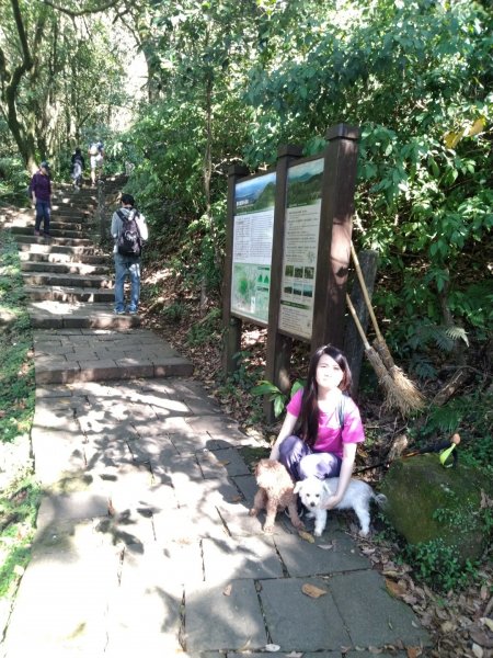 1081215陽明山主，東峰O型走走散步776221