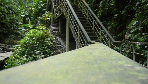 礁溪林美石盤步道643408