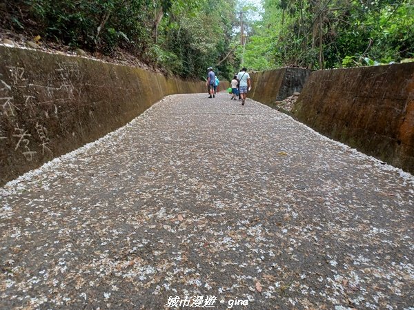 【彰化芬園】台灣百大必訪步道。 挑水古道進碧山古道O型環走2173518