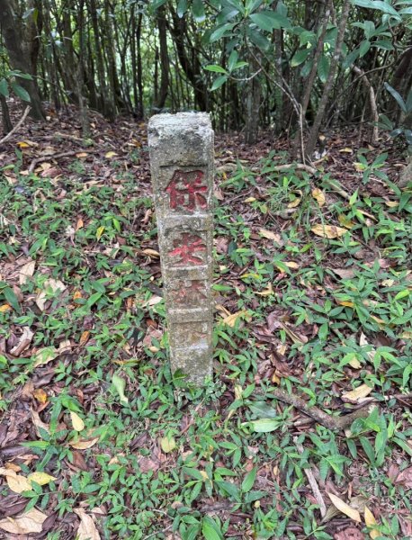 大溪漁港越嶺桃源谷下大里天公廟(蕃薯寮山 福德山 灣坑頭山/小百岳#82)3054226