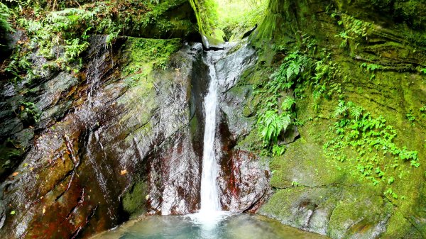 石古井,青林山,畝畝山,平溪子山2854704