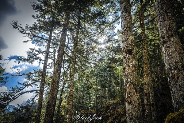 雪山主峰一日單攻963338