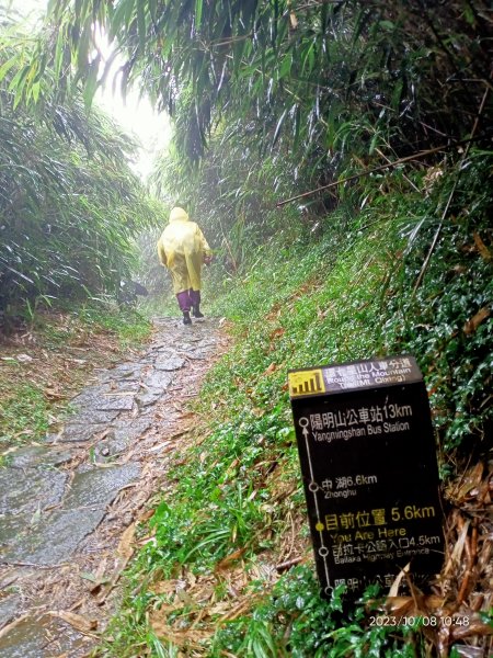 百拉卡公路人車分道、環七星山人車分道百拉卡公路入口站至冷水坑段、大港墘公園【走遍陽明山、健康大穀東】2307535