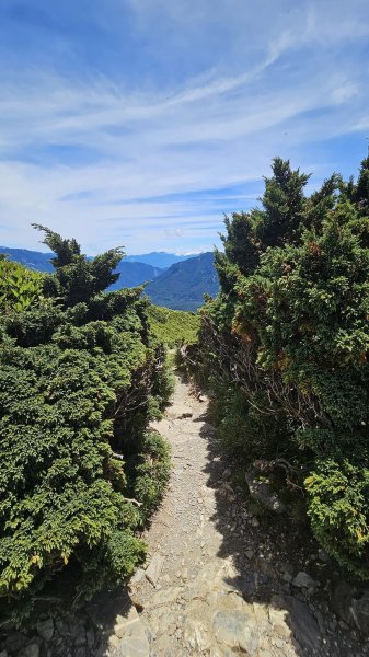 240714-石門山+合歡尖山+合歡東峰。美美兔凌晨3點出門來個合歡群峰半日遊。2567169