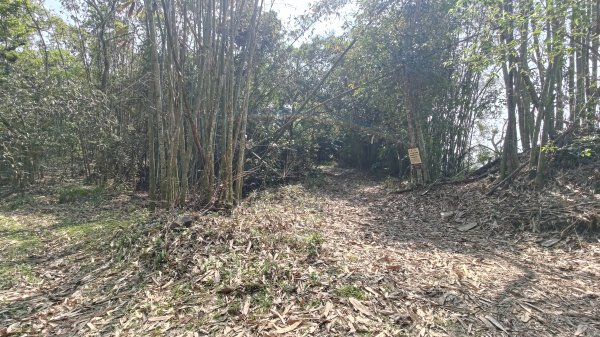 西阿里關山3033619