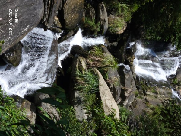 福山大羅蘭溪>古圳步道>黃金水岸2858962