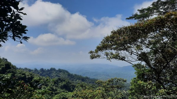 《台中》虎頭蜂巢｜大坑5號登頭嵙山黑松亭（聖普宮）202508092855077