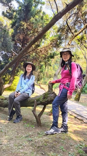 陽明山國家公園202503232743272