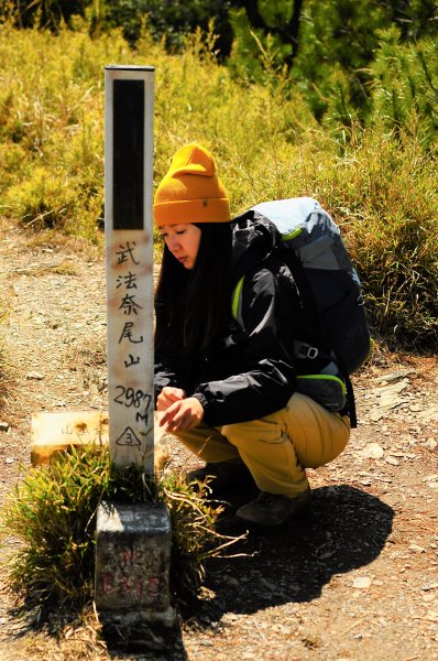 武法奈尾山天巒池872498