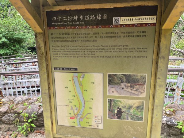 四十二份坪步道3127344