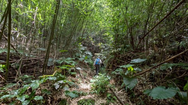114.06.01溪山百年古圳-太平尾山+聖人崙之旅2801842