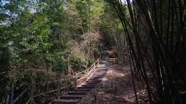 大湖尖山 鳳凰瀑布 紫雲寺1288605