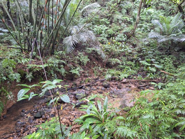 微笑山線：【五分山系】望古瀑布段+平溪小黃山段+慈恩嶺2932585
