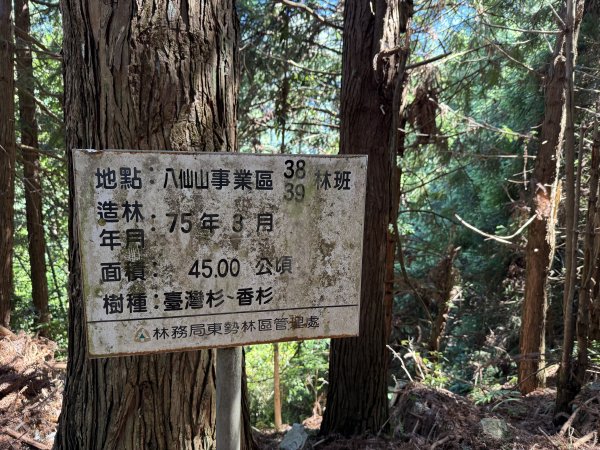 大雪山林道-屋我尾山O繞 202506152816273