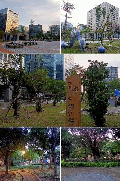 內湖港富廣場、瑞陽公園、文德三號公園、大港墘公園【走路趣尋寶、健康大穀東】2322771