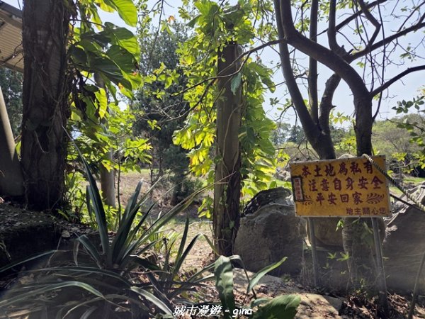 【苗栗頭屋】墨硯山步道3011353