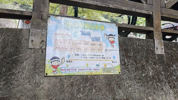 小中嵙登山步道頂中嵙山O形2385038