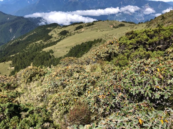 南湖大山主峰東峰三日791903