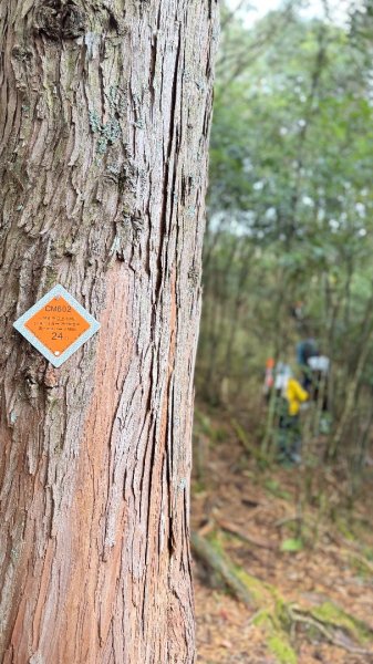 小關山 神池 2026 01/09 兩天一夜2982136