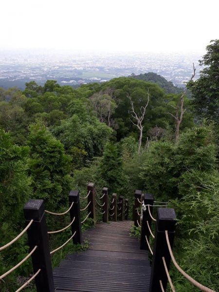 台中新田登山步道20180823396397