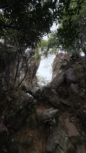 迎新（2026元旦2975561