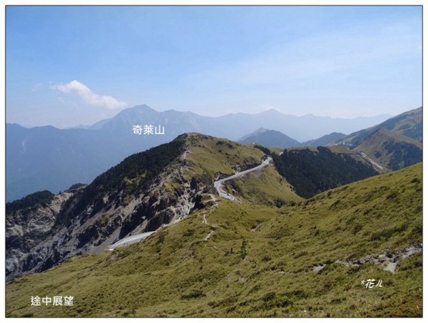 哈哈山~石門北峰/杜鵑花開1372522