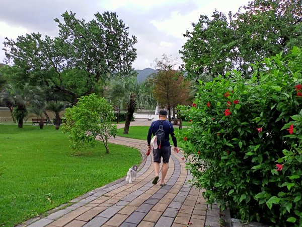 大港墘公園、大湖公園 (防災公園) - “非常愛尋寶”【走路趣尋寶，全臺齊步走】1883911