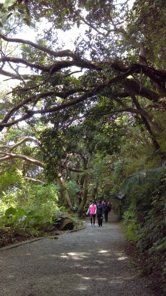 【臺北親山拓印趣】天母山天母古道白雲瀑布918686