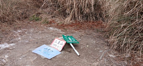 2025 3/1 三星山2723856