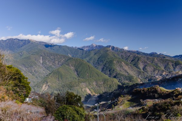 福壽山千櫻園櫻花季初開2717415