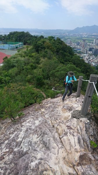 連爬9山-東華山到丹鳳山連走426645