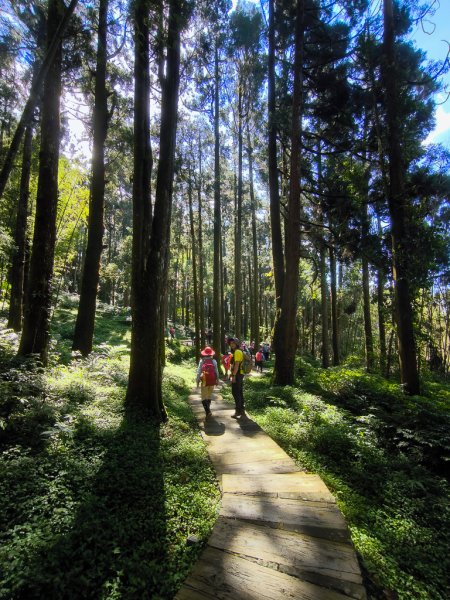 2025-09-14 奮起湖2887398