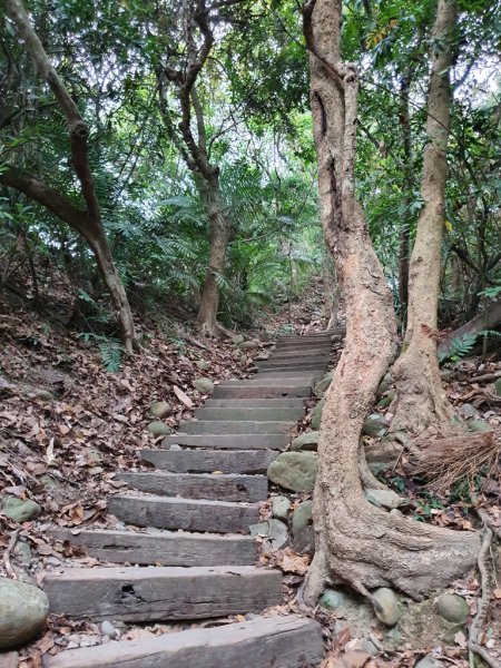 步道巡訪員│龍過脈步道3月巡訪日誌872333