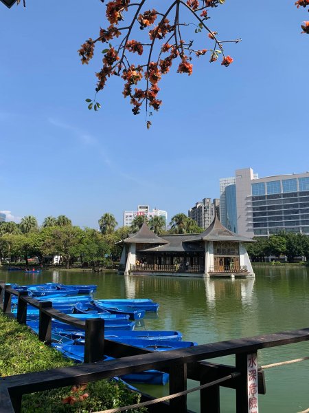 台中中山公園砲台山1644366