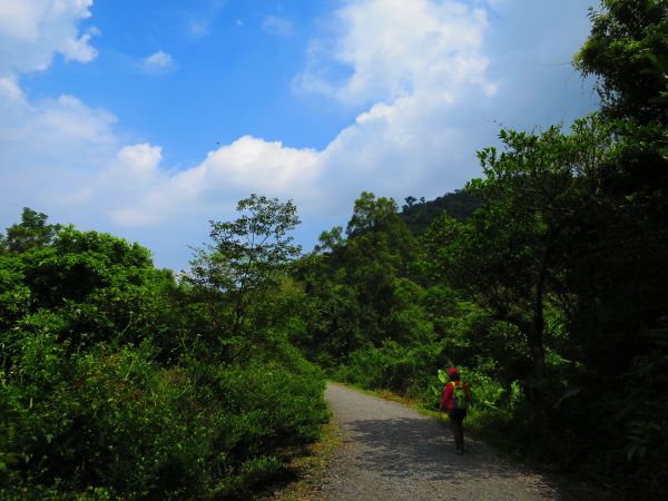 【宜蘭冬山】新寮瀑布步道401493