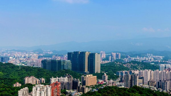 黑端建斑蝶（斐豹蛺蝶）3068582