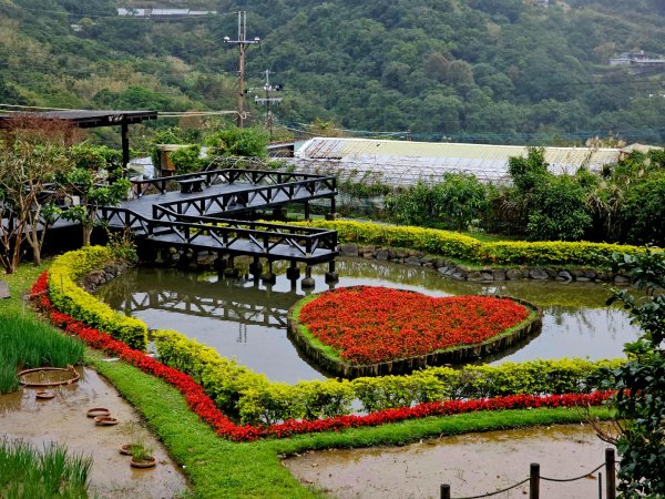 2025臺北大縱走第四段：風櫃口至中華科技大學2973493