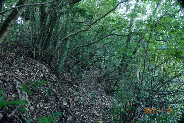 南投 仁愛 再生山(安達山)1913674