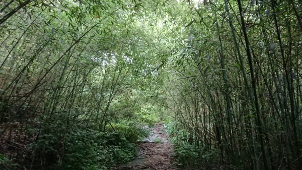 馬拉邦山上湖登山口O型走1069010